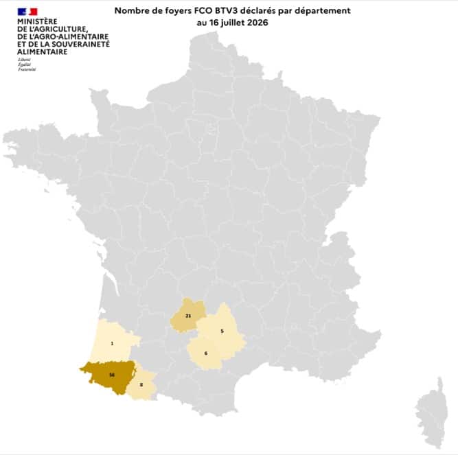 Lire la suite à propos de l’article FCO sérotype 3 : plusieurs foyers déclarés dans le département, restez vigilants
