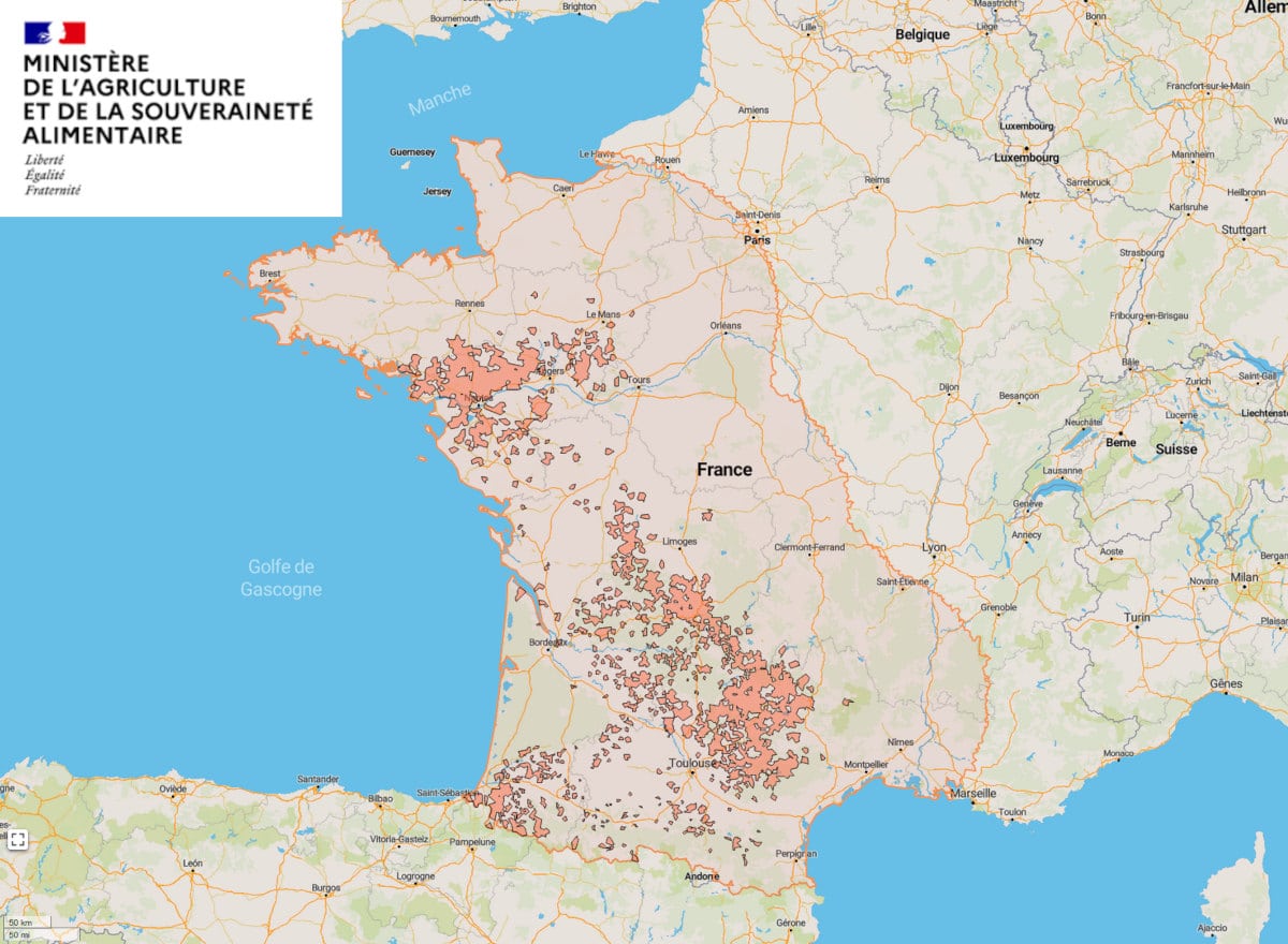 Lire la suite à propos de l’article MHE : l&rsquo;Aveyron demeure en zone réglementée malgré les évolutions annoncées